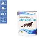 CAREFORCE STRISCIA 100 mg, Sildenafil