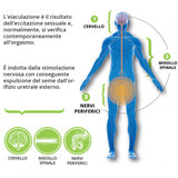POXET 60 mg, Priligy generico